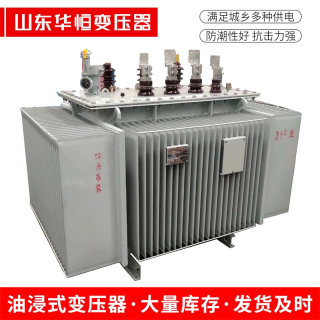 S13-10000/35班玛班玛班玛电力变压器厂家