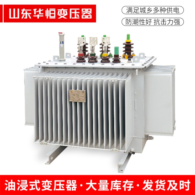 S13-10000/35班玛班玛班玛电力变压器