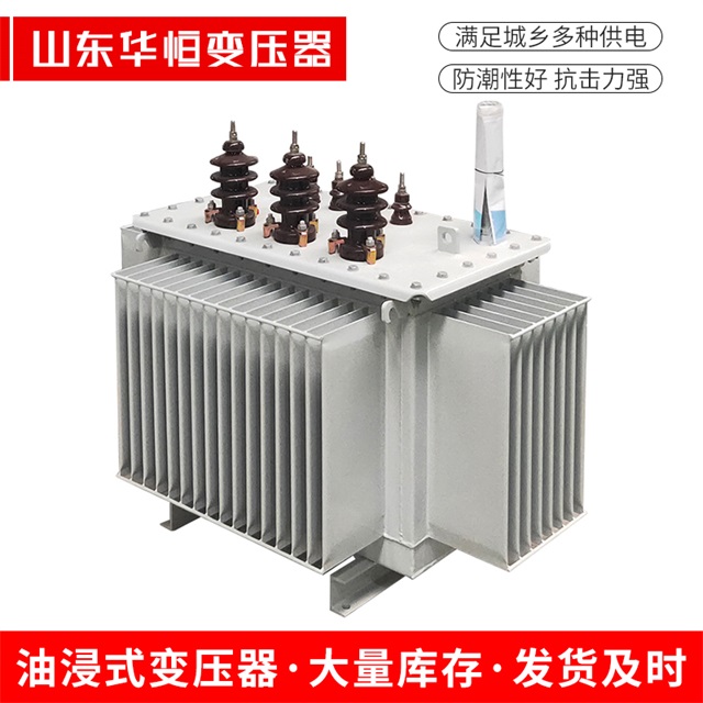 S13-10000/35班玛班玛班玛油浸式变压器厂家
